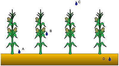 A review on irrigation parameterizations in Earth system models